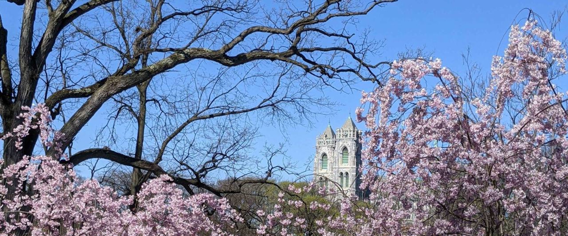 Celebrating Community: The Best Events in Essex County, MA