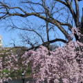 Celebrating Community: The Best Events in Essex County, MA