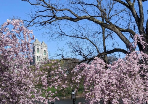 Celebrating Community: The Best Events in Essex County, MA